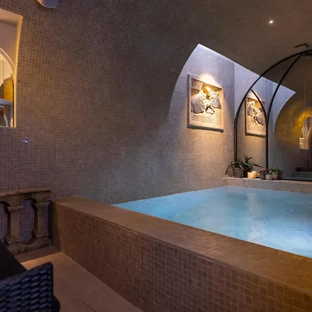 Hotel Da Vinci&spa