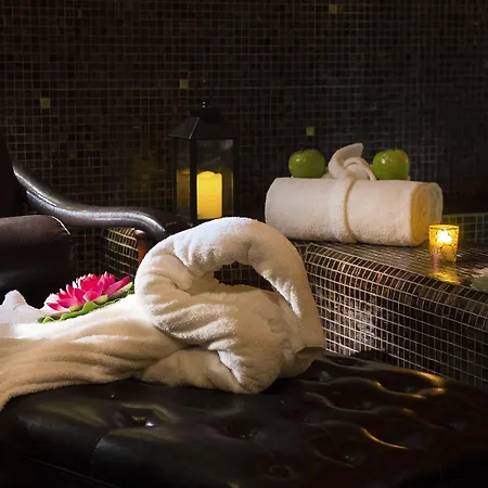 Hotel Da Vinci&spa 4*